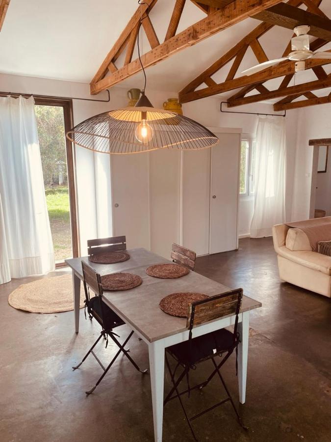 Casa Cote Sud - Mas Bois Fontaine Villa Nimes Ngoại thất bức ảnh