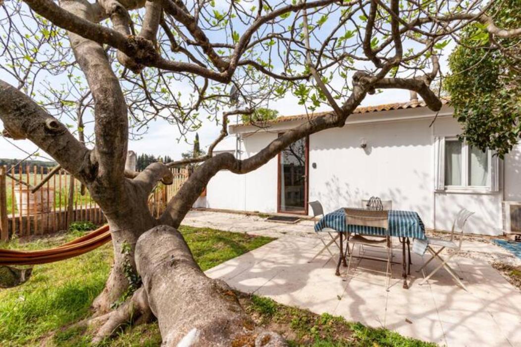 Casa Cote Sud - Mas Bois Fontaine Villa Nimes Ngoại thất bức ảnh