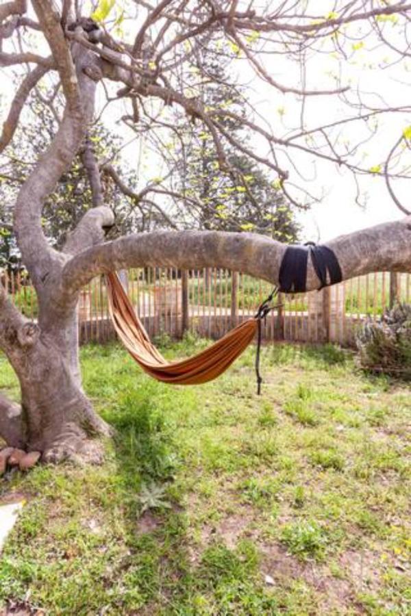 Casa Cote Sud - Mas Bois Fontaine Villa Nimes Ngoại thất bức ảnh