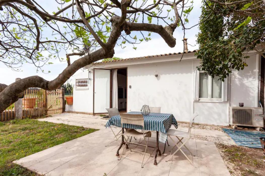 Casa Cote Sud - Mas Bois Fontaine Villa Nimes Ngoại thất bức ảnh