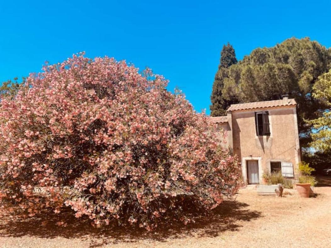Casa Cote Sud - Mas Bois Fontaine Villa Nimes Ngoại thất bức ảnh