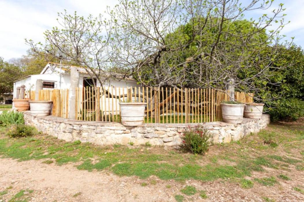 Casa Cote Sud - Mas Bois Fontaine Villa Nimes Ngoại thất bức ảnh